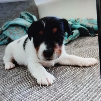 edy1398664's profile picture. 