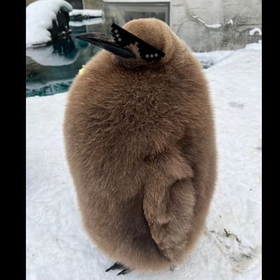 YZnnwo's profile picture. 