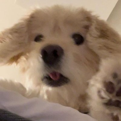 Elle_chumu's profile picture. 