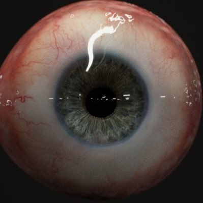 iyearn4head's profile picture. @theclitbeaterr