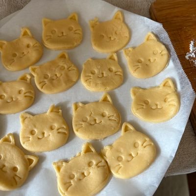 10010202yumi's profile picture. 諸事情により、Twitterやめるので解除お願いいたします