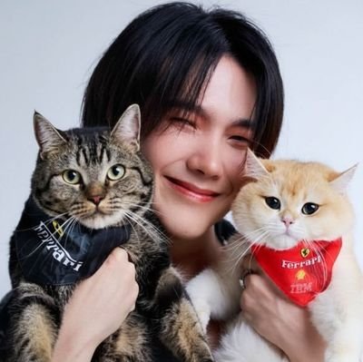 aluvebiu's profile picture. 