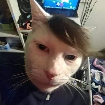 mcmxcvimiiz's profile picture. ไปคับปิง @nampingnapat 🐰 #kengnamping 🐰🦆