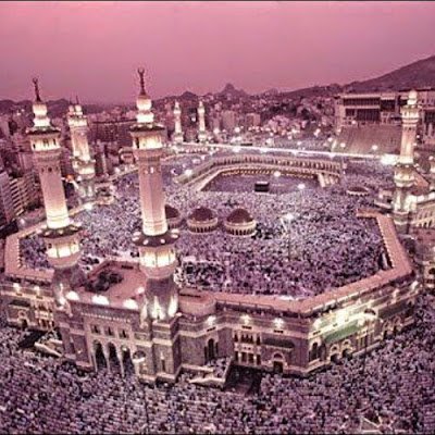 SaharSamir32773's profile picture. 