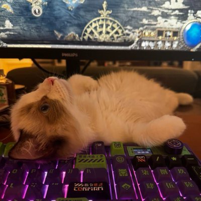 xiaoheilonggege's profile picture. 我坚信我能悟道成功.
偶尔抽抽披风.