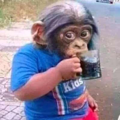 algo1337's profile picture. eng