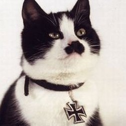 cracked_damsel's profile picture. 