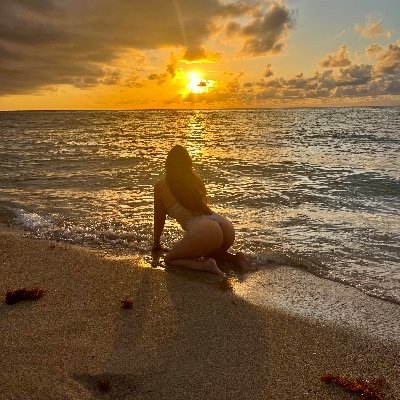 Conejamala888's profile picture. 🔞
.    . * .   ⭐︎ . *  .  ⭐︎   *  . 
*  .   ☾  *   .  ☄︎   *   .  ⭐︎  * . 
⋆  ☁︎  ｡⋆  ｡  ⋆  ｡ﾟ  ☁︎  ｡

: ¨·.·¨ :
 ` ·. 🦋get ur mood right.