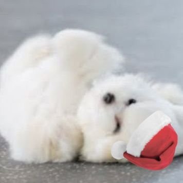 _he_rb's profile picture. 성인여자 / 일상•독서계 /
블로그 - https://t.co/xkCO4kpGKB / 인스타 - 디엠으로 와효//🤍