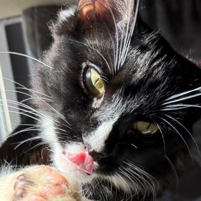 HuntOld7725's profile picture. 