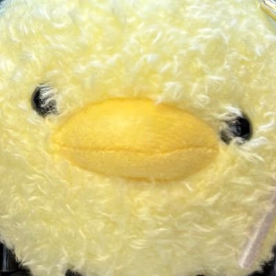 popo_re_pon's profile picture. 成人済 / REBORN垢