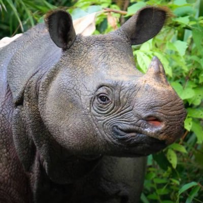 smelv92's profile picture. 