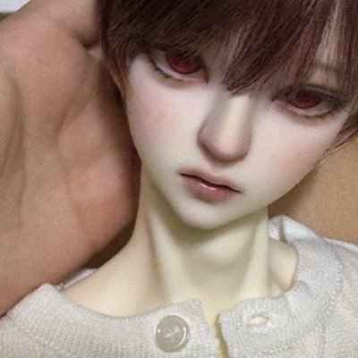 To_bjd's profile picture. BJD