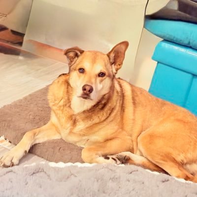 chartier51386's profile picture. 