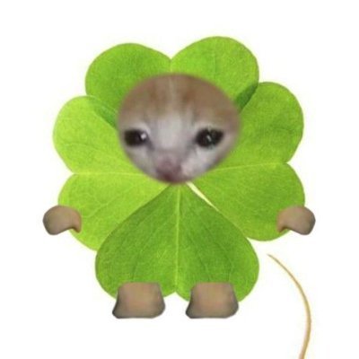 studyingkia's profile picture. 4th year psych! #rpmtwt #studytwt