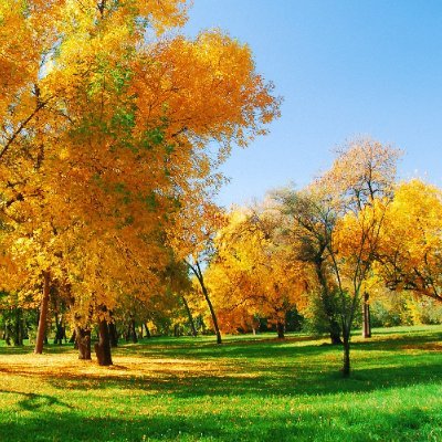 Naresh_Sivarapu's profile picture. Entrepreneur