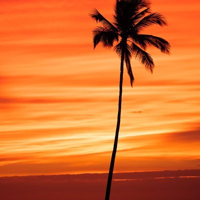 Travelhqk's profile picture. 