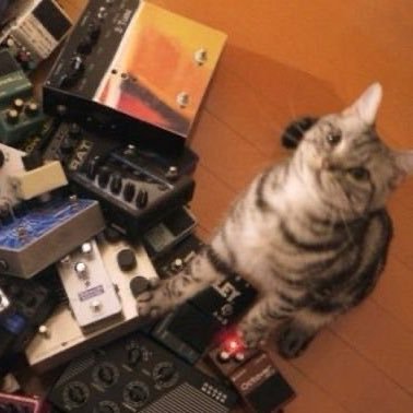 1onesteppcloser's profile picture. i don’t post much, but i’m interactive. i love all music, instruments and bands!!  feel free to dm me i love yapping