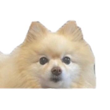 liofval_'s profile picture. 42tokyo