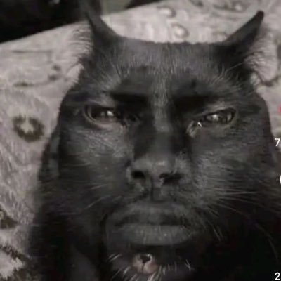 iced0llz's profile picture. 