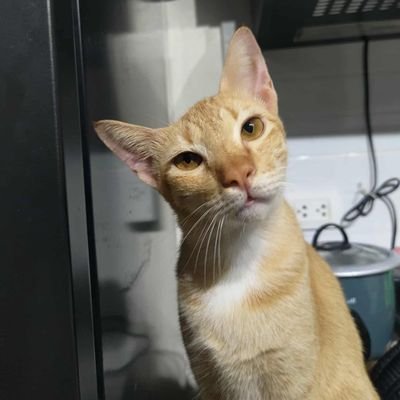 treeniebi's profile picture. Perfect timing🩵🩷