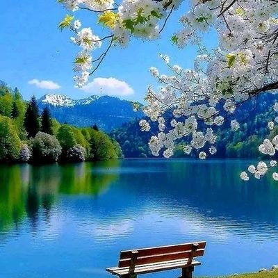 SamySliman74404's profile picture. 