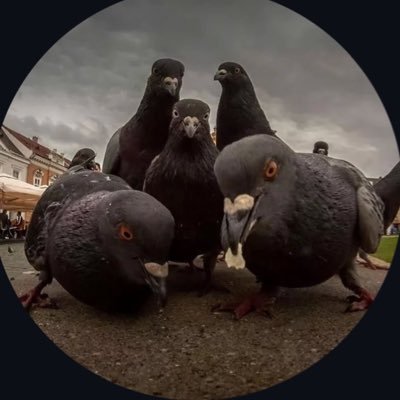 newmusicafrica's profile picture. music, mint (w3) & mancity 📬newmusicafrica@gmail.com