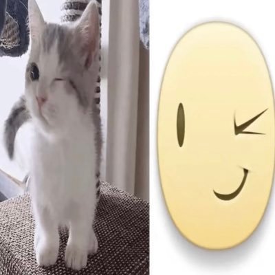 OffSeasons69's profile picture. 