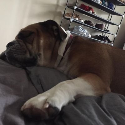 Donal_ro70784's profile picture. 