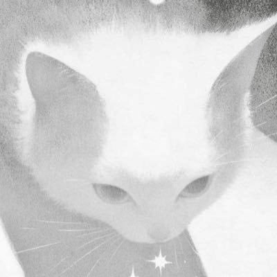 melatisme's profile picture. eepy.