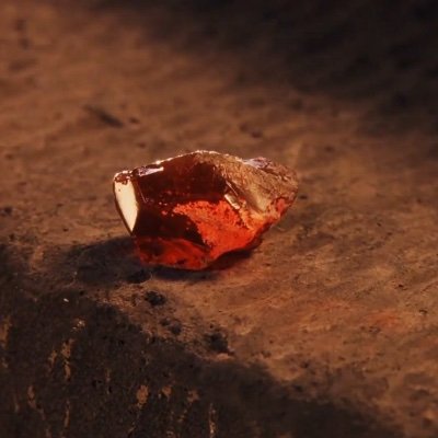 WeTheUntamed's profile picture. Let's free ourselves.