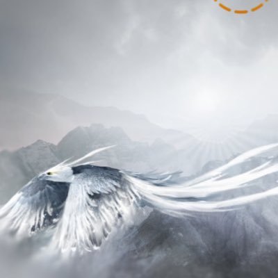 ExtraVOD__x's profile picture. Founder of @PhoenixRebornFT soon to break the loop