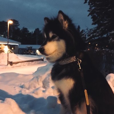 enri623's profile picture. twitch partner | osu top 20 | https://t.co/u04IIg3W2N | @m_rawinput