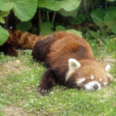 tulualexkibet's profile picture. 