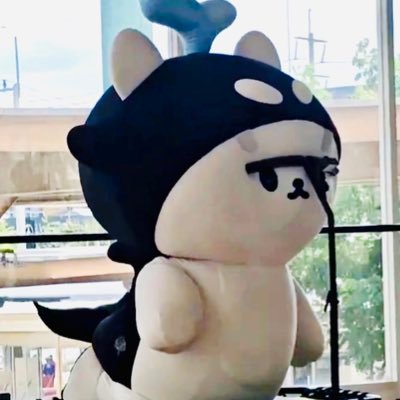 TayNewMagiccc's profile picture. TayNew | Polca💙💙 Part-time human, full time #Polca 🐳🐻‍❄️