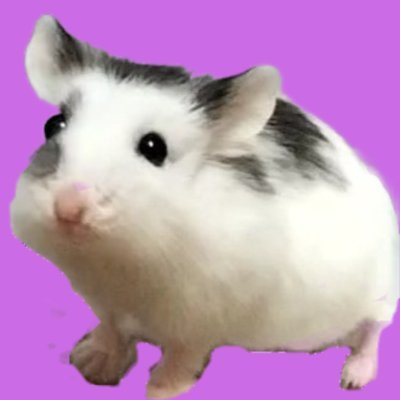 ichitoo0630's profile picture. ハムスター愛好家
ギリシャ神話とゴジラが好きです。