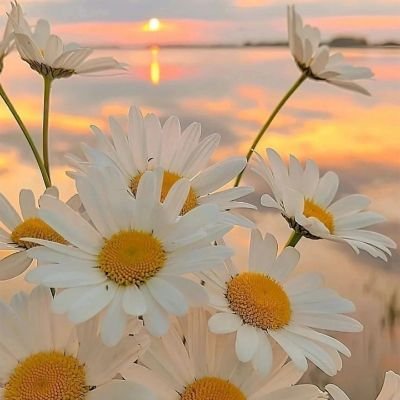 kpandhare4's profile picture. DCP, Secondary DNB Pathology (Saifee Hospital, Mumbai)