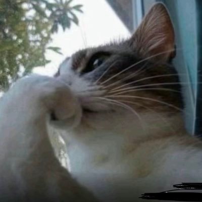 cyfsm6g's profile picture. 