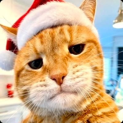 XL4DS's profile picture. Total Remigration Advocate