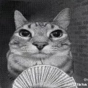 ferrodesignz's profile picture. detroit // denver • 27