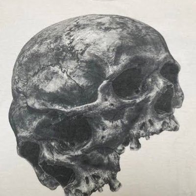 shaysong's profile picture. 全てフィクションです