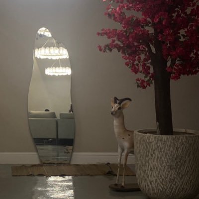 xxwiii's profile picture. قلبي اصبح عائله.