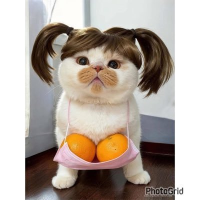 Tik010799's profile picture. To the broken heart. 🖤🤏                      #YokoApasra