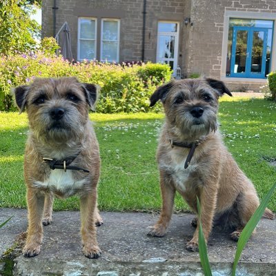 fleurrbie's profile picture. Artistic type - prone to bake a lot and talk to my animals. Love the mountains, the sea, and any adventures…