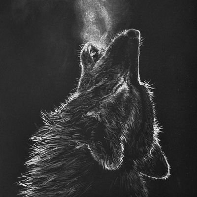 falconhitam's profile picture. ⚖️