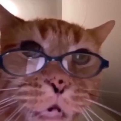 IDKWHOIVM's profile picture. just mabdooon