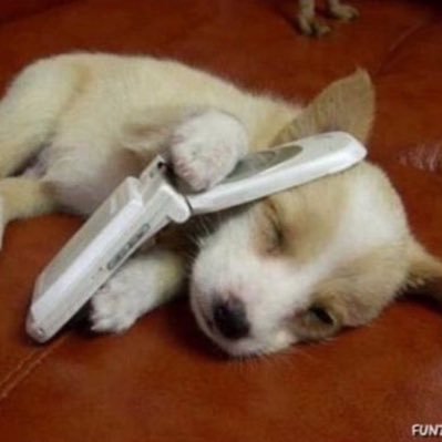 molecat_214's profile picture. 밤톨두더지 🌰