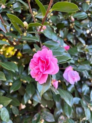 ria122513's profile picture. 2025年入団新兵！/進撃/リヴァイ/エルリが尊い/でもみんな好き/30↑