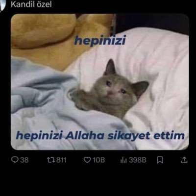 gulsumomer23's profile picture. 