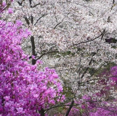 OKTM759's profile picture. 避難中